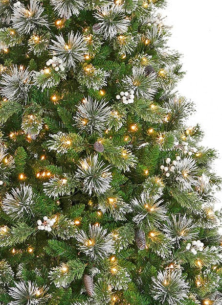 Christmas Trees