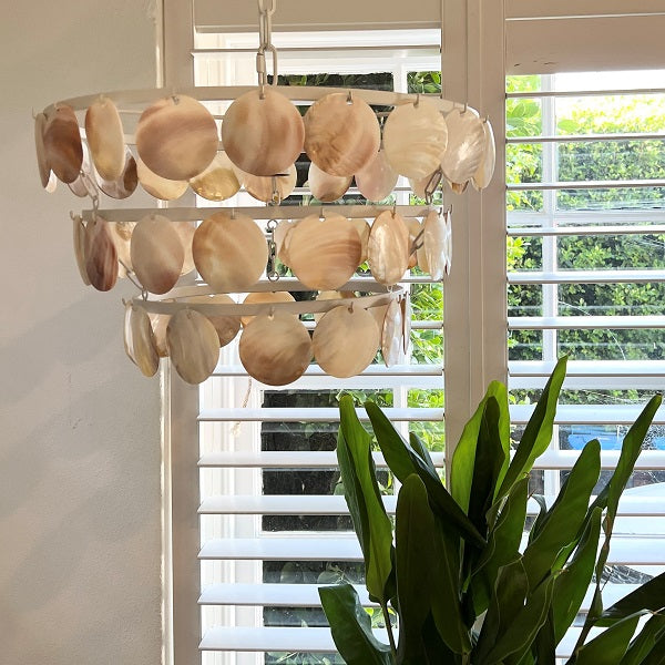 Shell Chandelier
