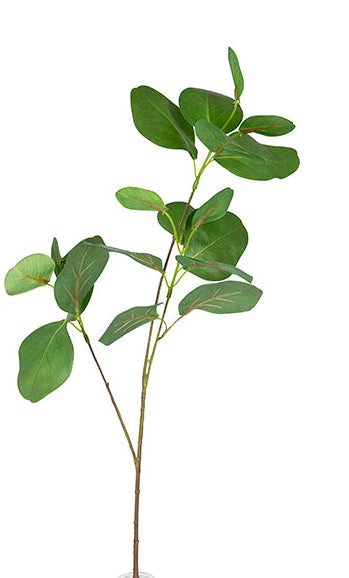 Kora Eucalyptus Spray 2