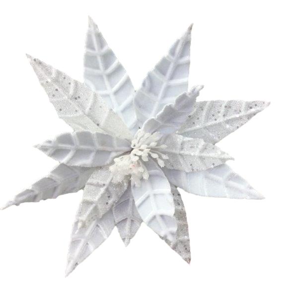 White Poinsettia 3