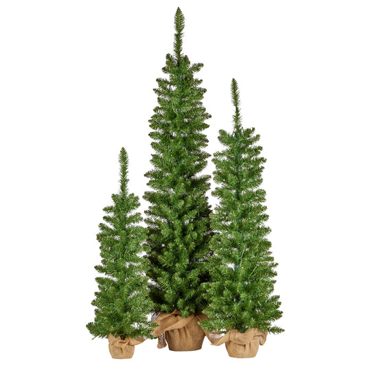 Set of 3 Christmas Trees with Lights