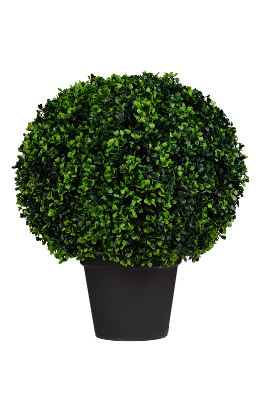 Potted Ball Topiary