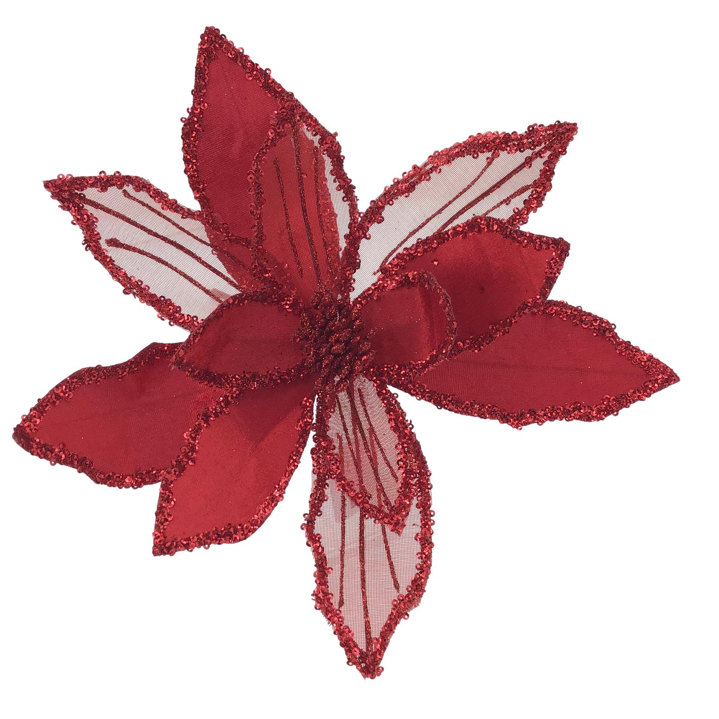 Red Poinsettia 5