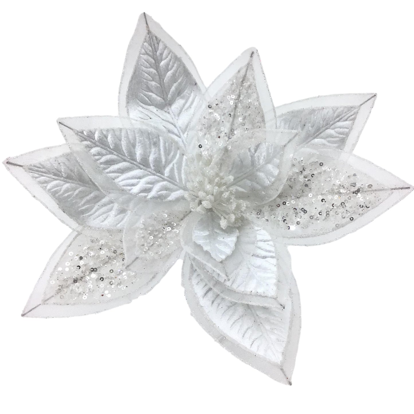White Poinsettia No 4
