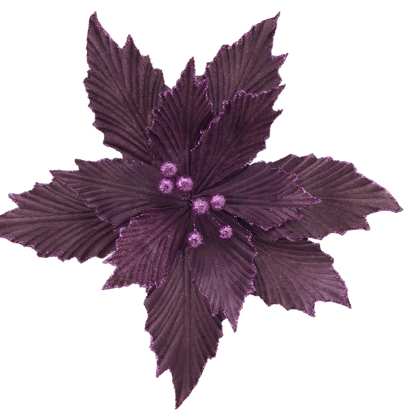 Purple Poinsettia