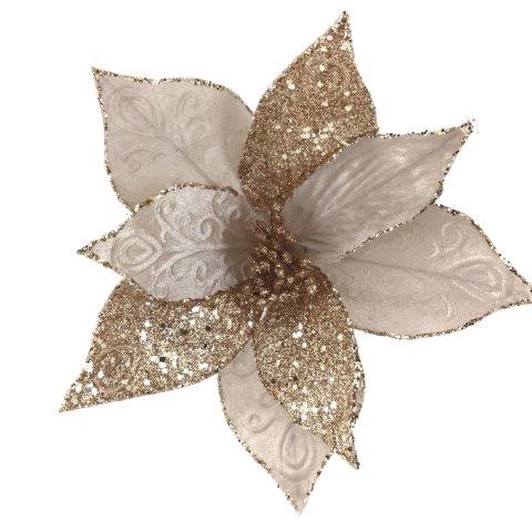 Champagne Poinsettia 2