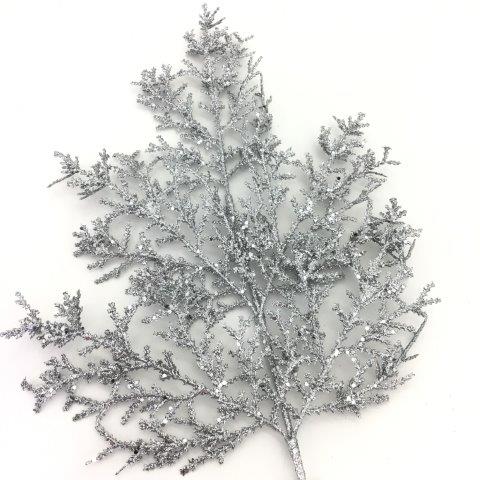 Silver Fern Leaf