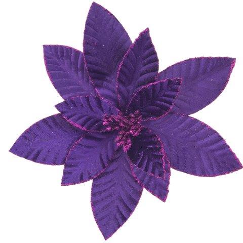 Purple {Poinsettia 3