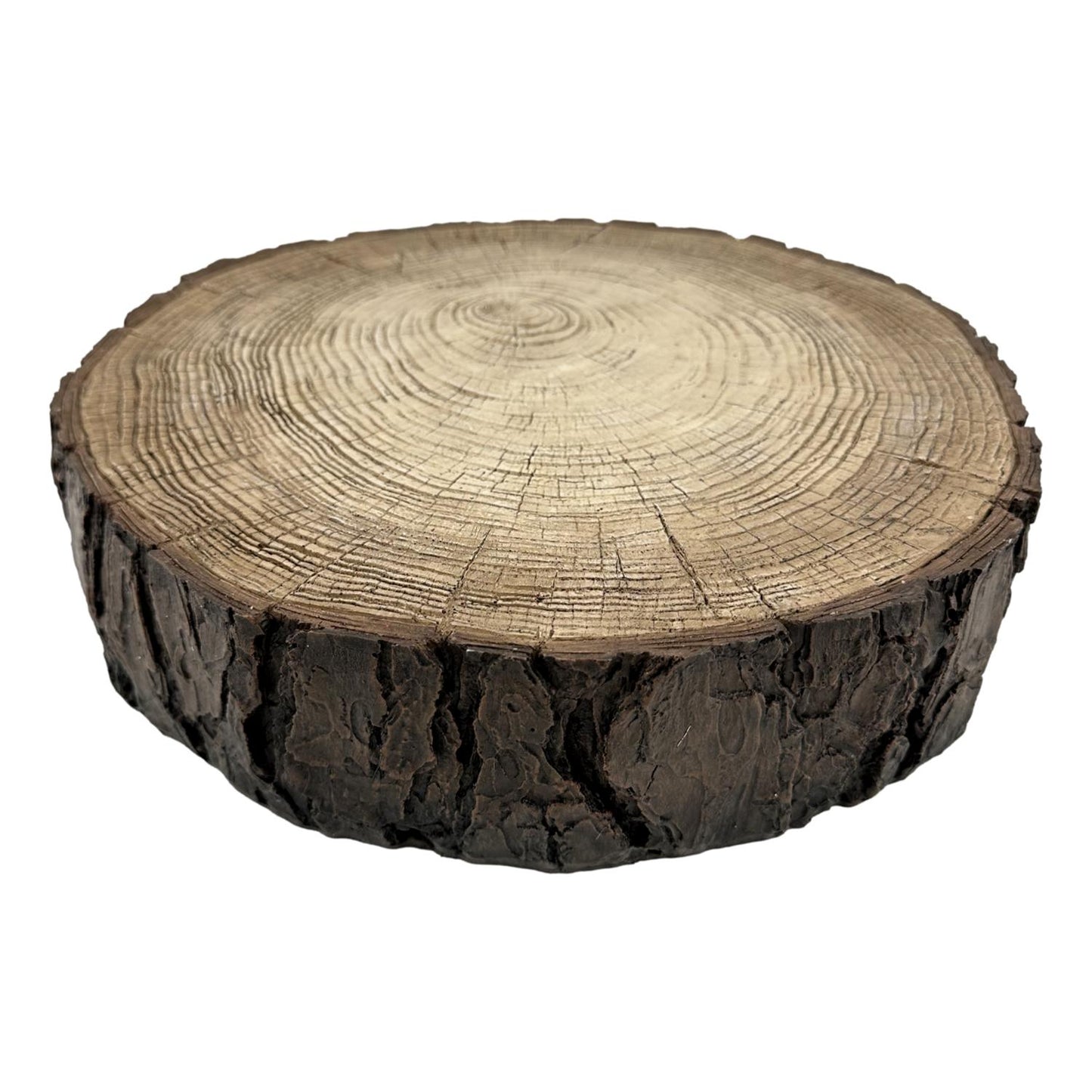 Resin Tree Trunk Slice