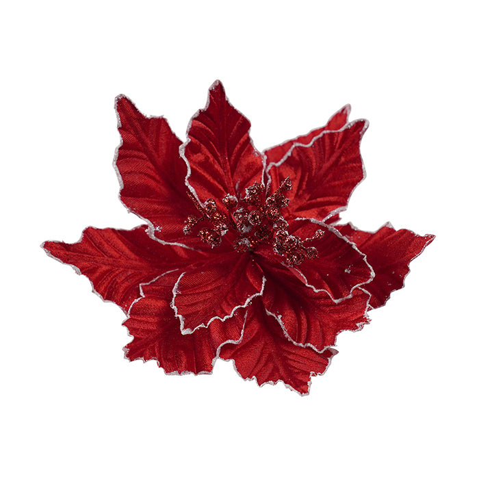 Poinsettia Red White Edge Clip on