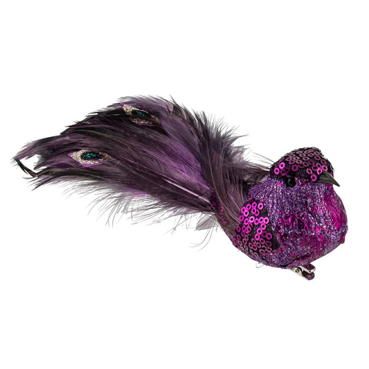 Glitter Bird Jewel Tail Purple