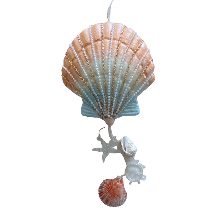 Aqua Coral Scallop Shell