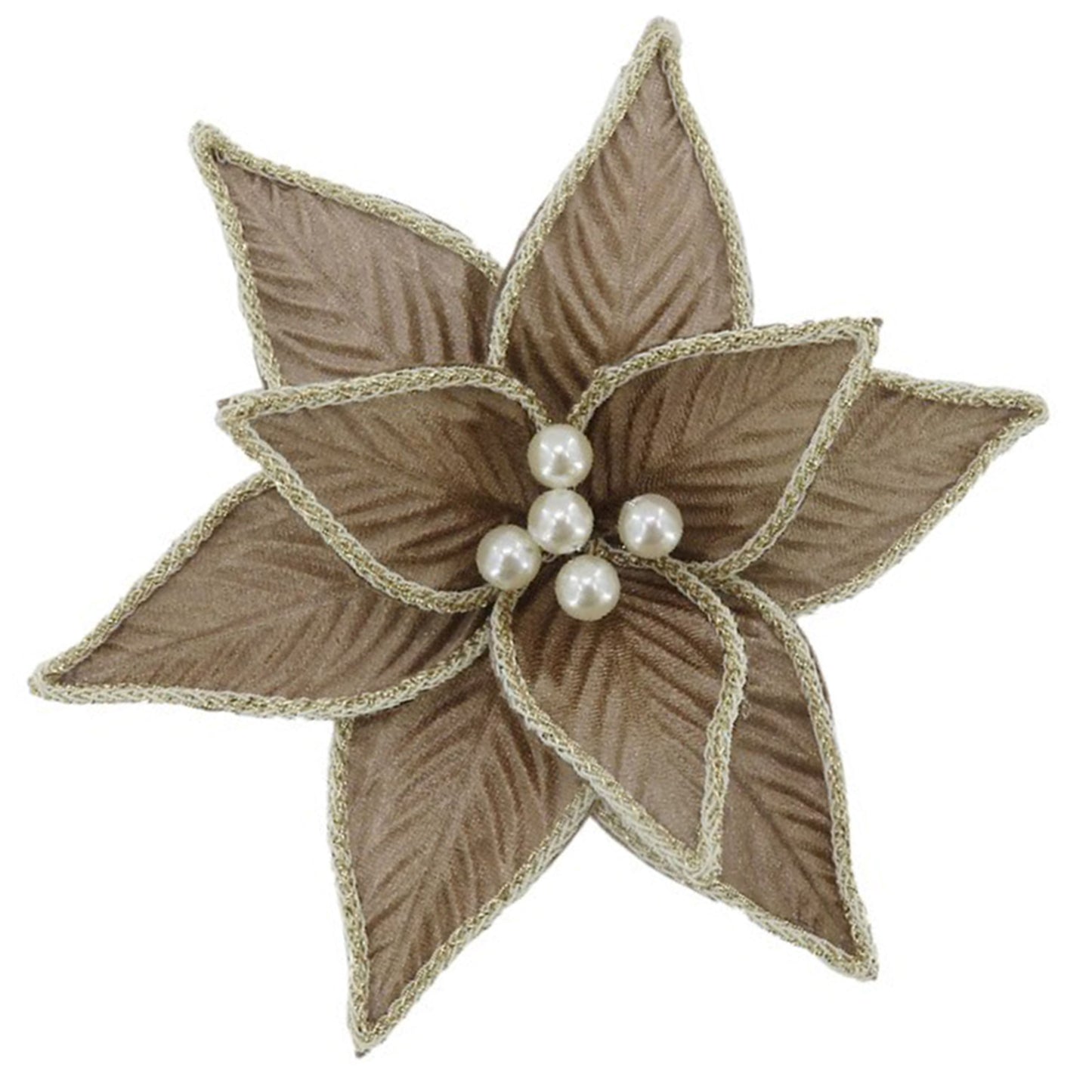 Tan Rope Edge Poinsettia