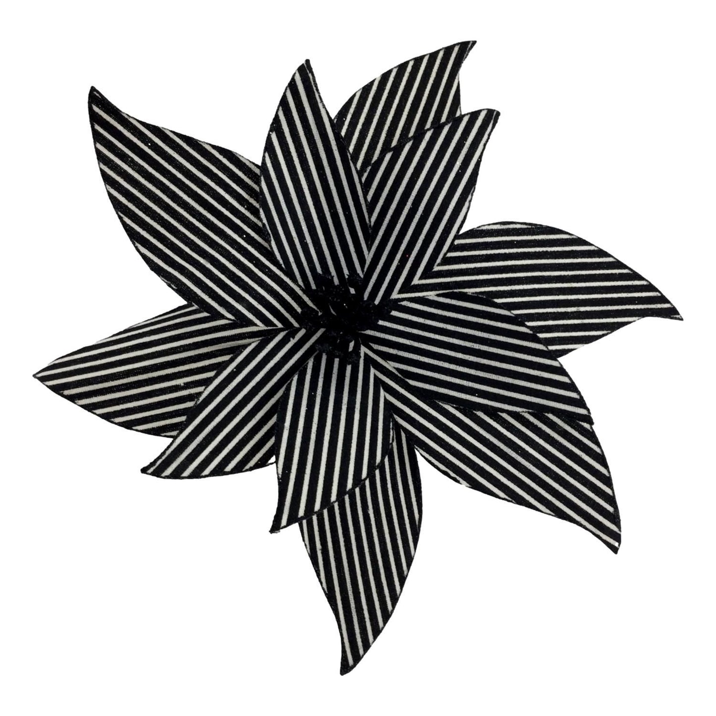 Black and White Poinsettia