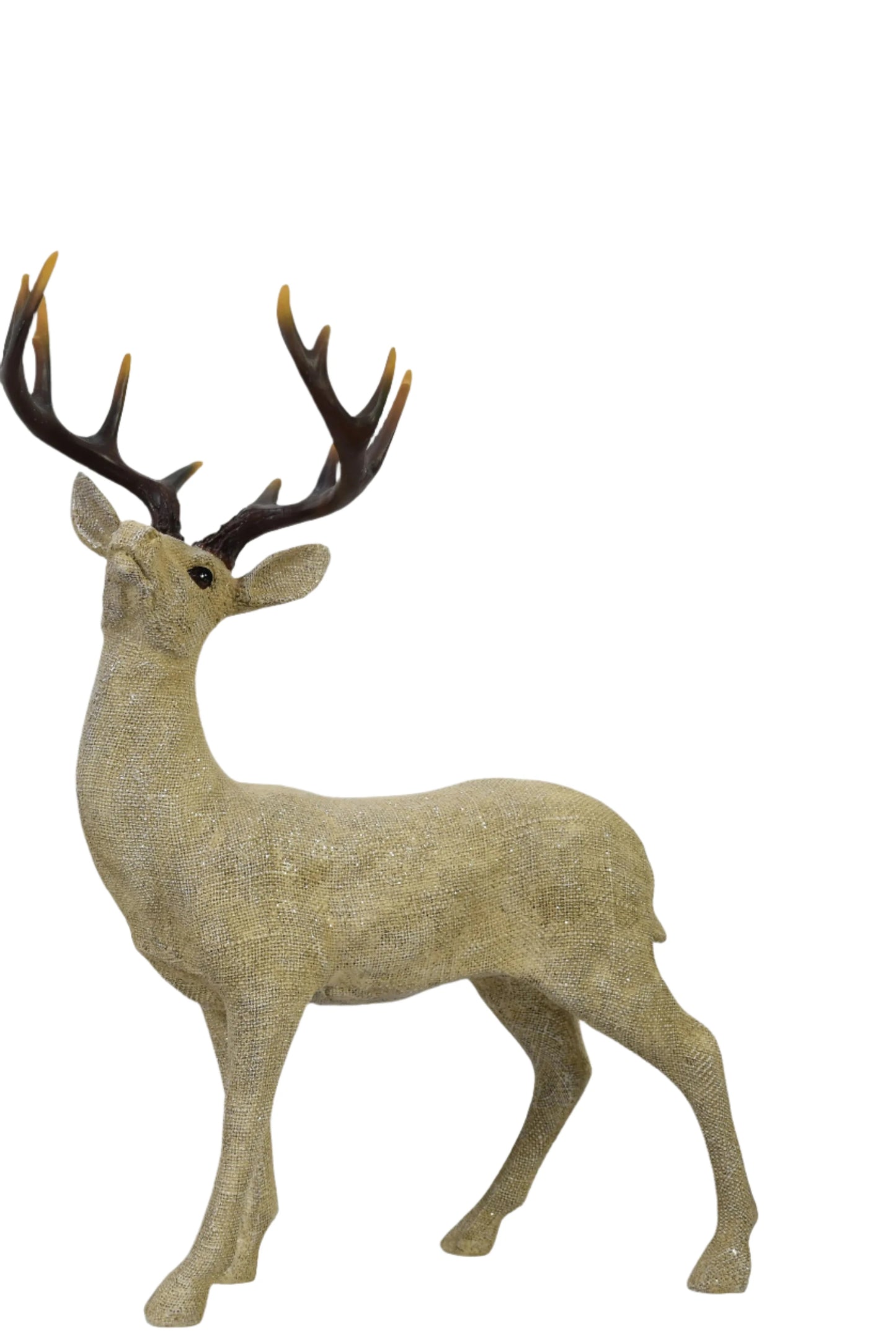 Standing Deer Champagne Natural