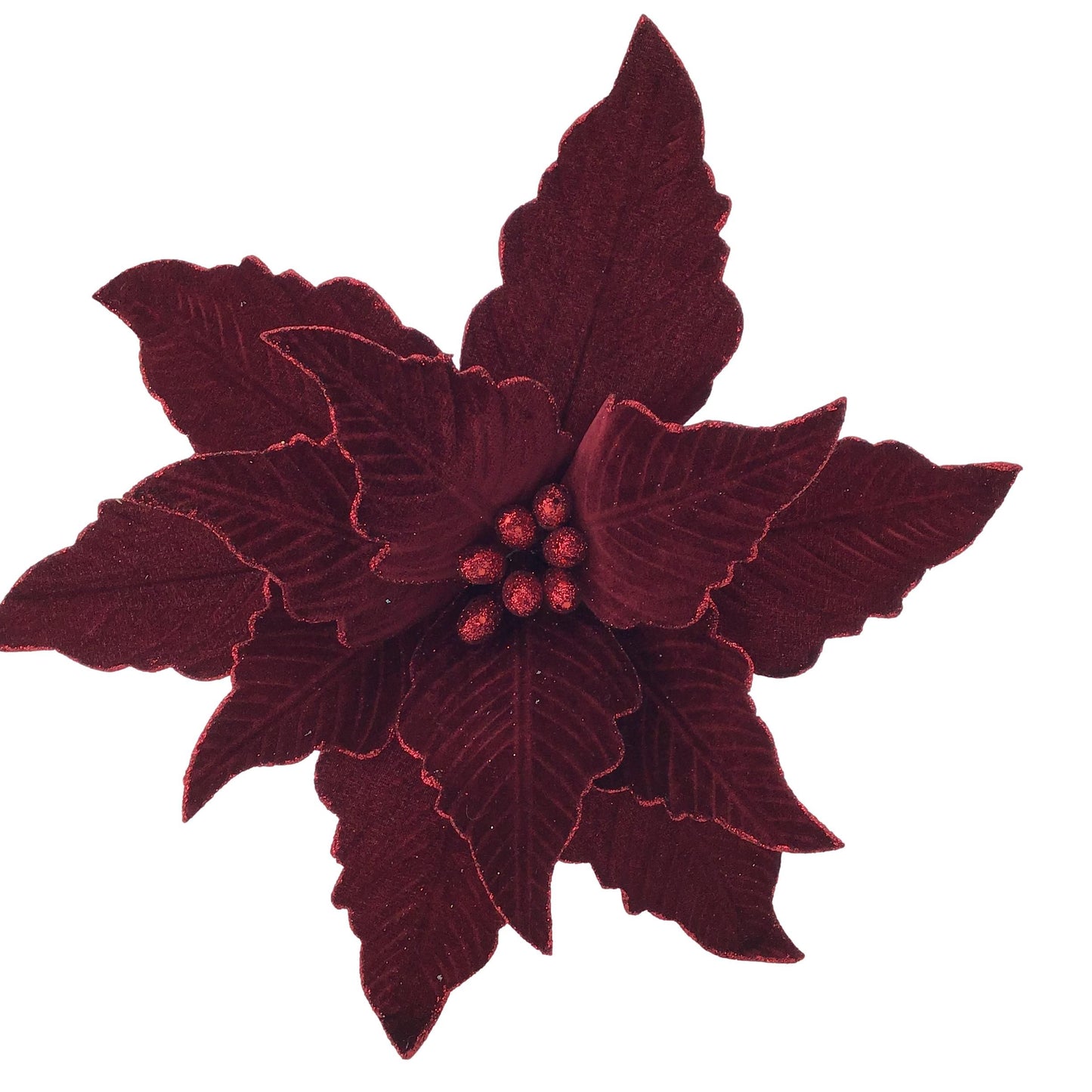 Burgandy Poinsettia