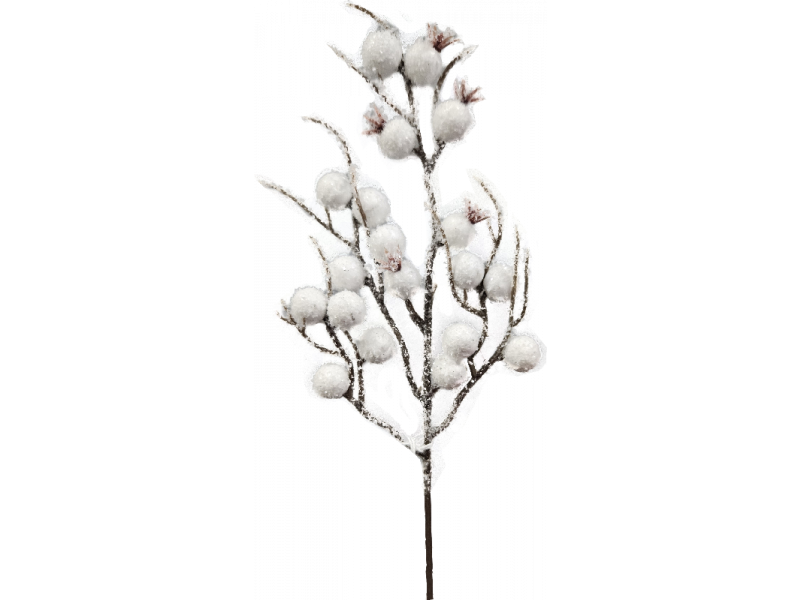 Berry Pick White