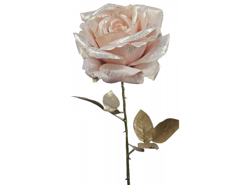 Venus Rose