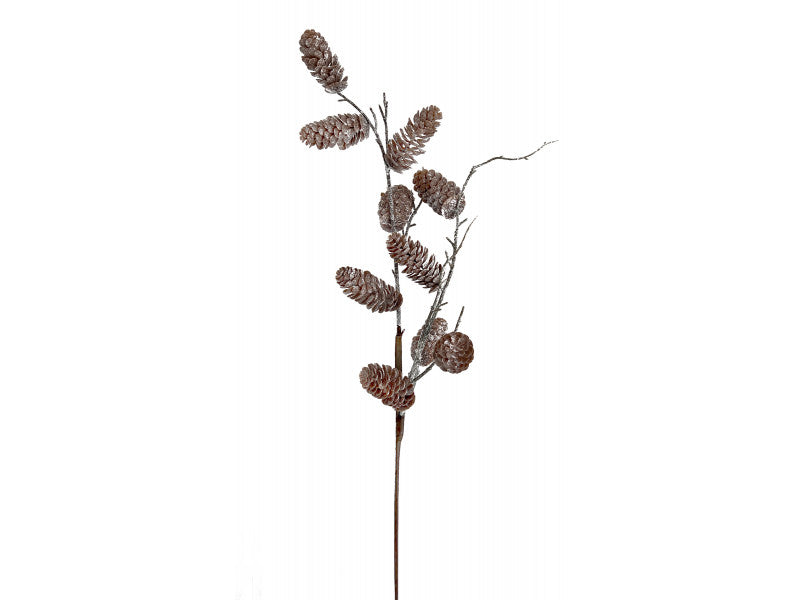 Pinecone Stem