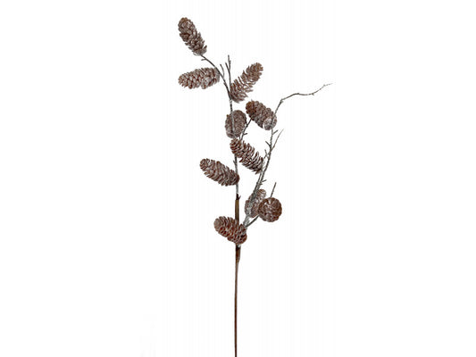 Pinecone Stem