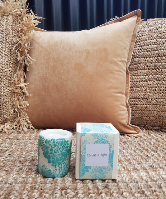 Japanese Chrysanthemum 3'Pillar White/Aqua