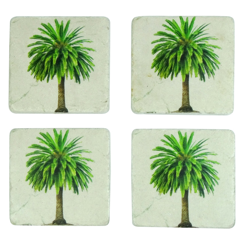 Canary Palm Coasters Set 4