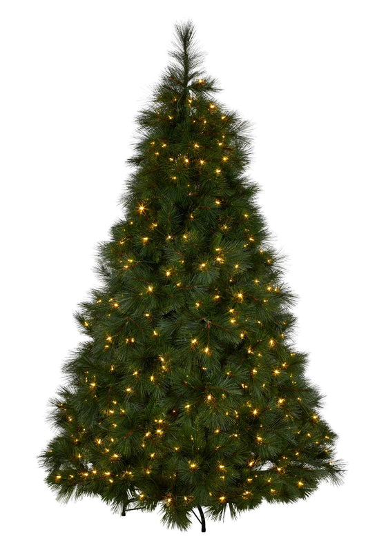 Long Needle Tree LED 6ft