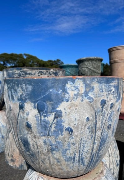 Ancient Blue Poppy Pot Med