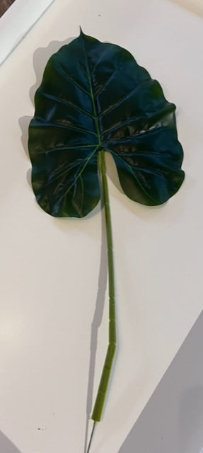 Heart Leaf 54 cm