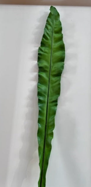 Leaf Birds Nest