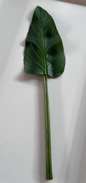 Colocasia Leaf