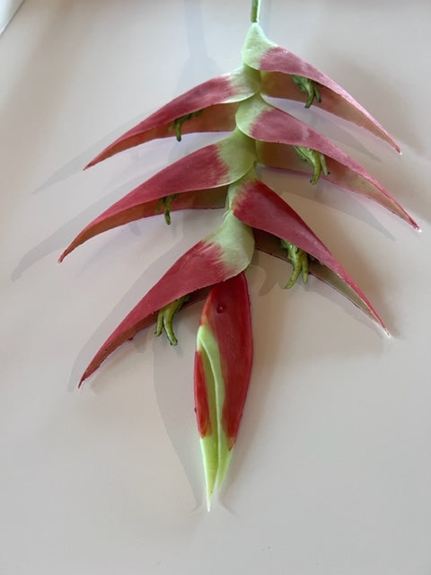 Heliconia Spray