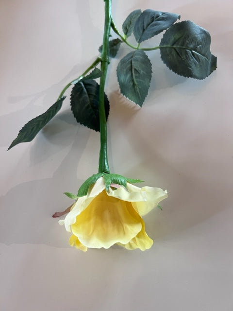 Alice Bud (Rose in Water) Yellow