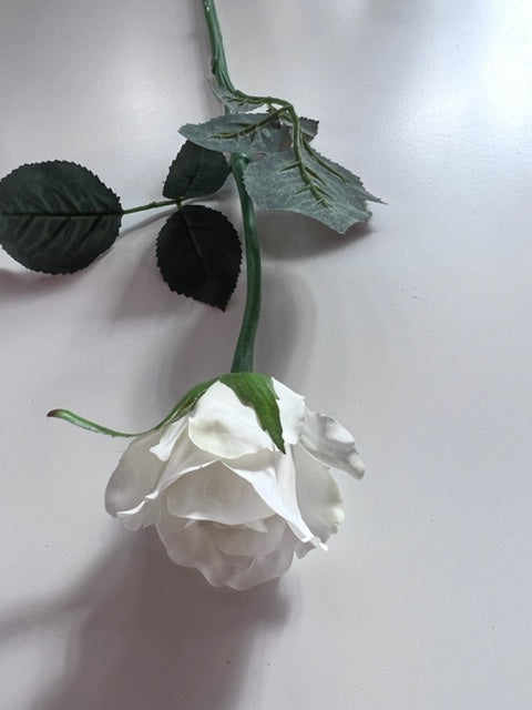 Alice Bud White Rose