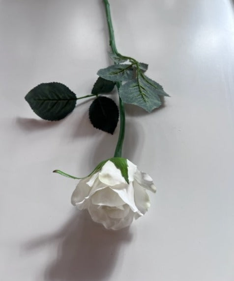 Alice Bud White Rose