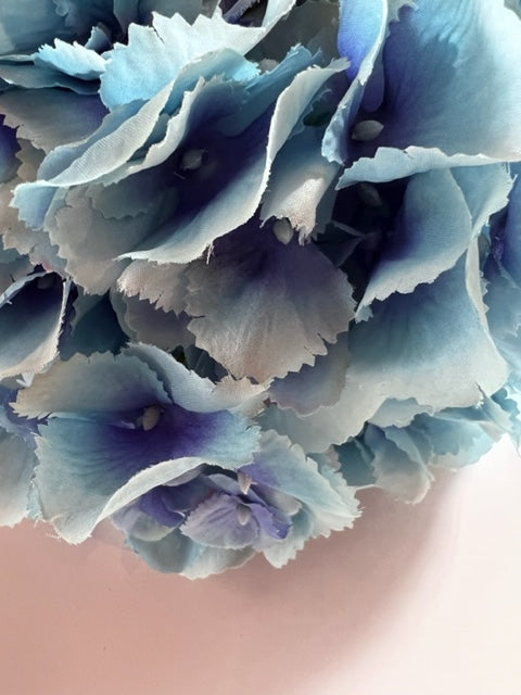 Hydrangea Blue