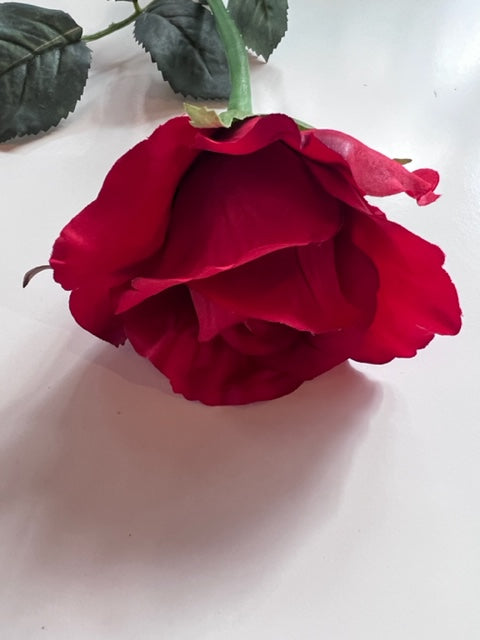 Alice Rose Red