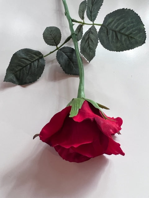 Alice Rose Red