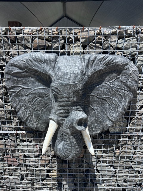 Elephant Head W/Feature 100cm