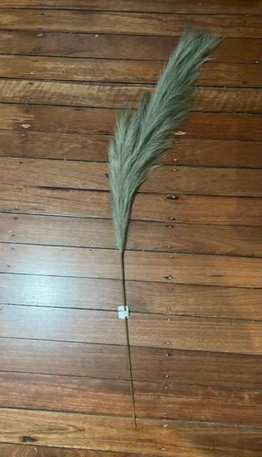 Pampas Grass 130cm Sage
