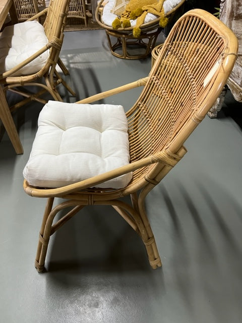 Rattan Chair curved with Cushion