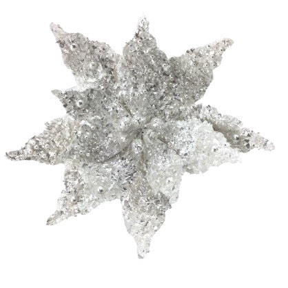 White Detailed Poinsettia