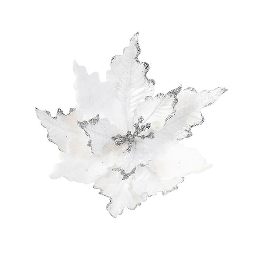 Poinsettia White Silver Edge