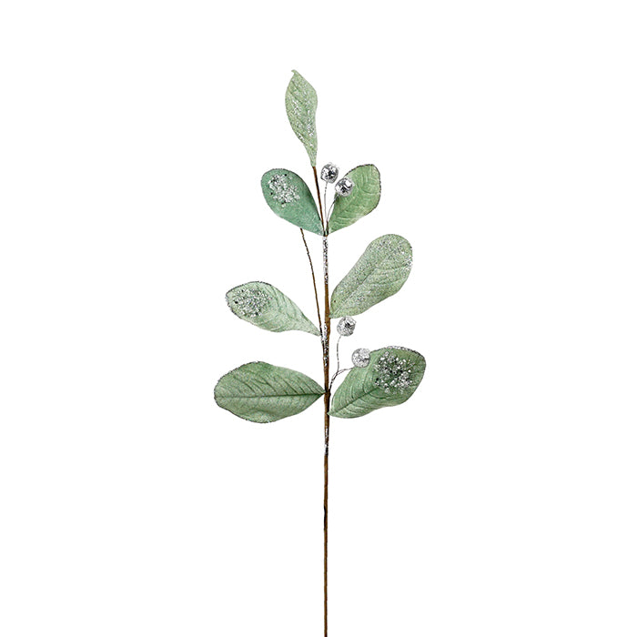 Velvet Leaf Branch Spearmint