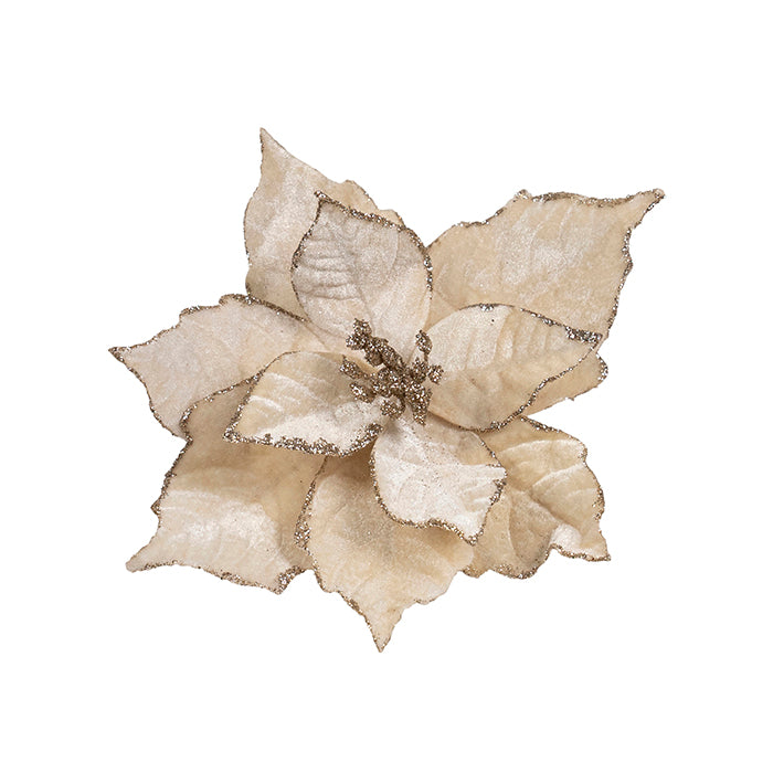 Dark Cream Poinsettia Clip on