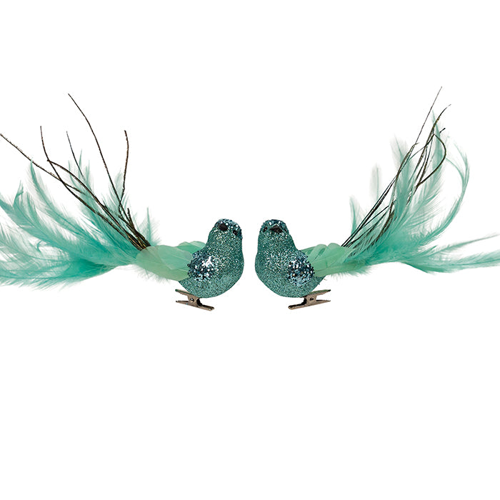 Feather Teal Clip on Bird