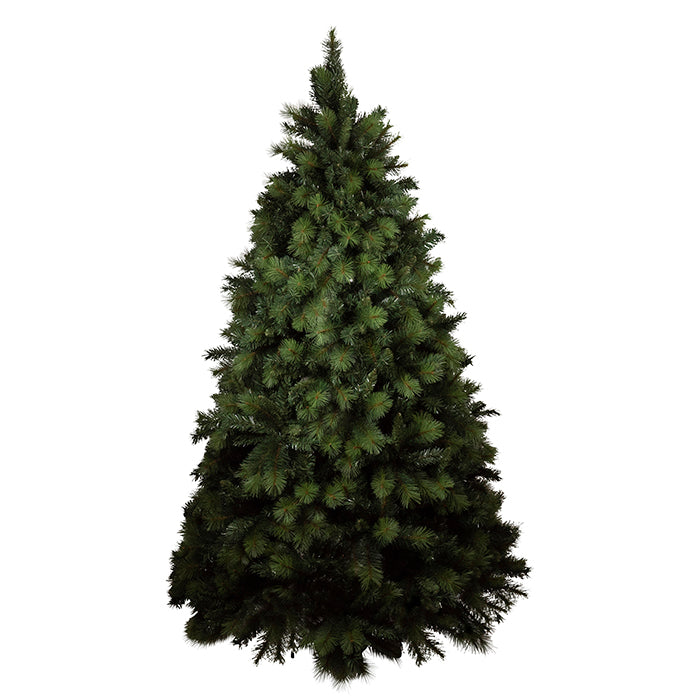 Harriet Green Needle Pine Tree 240 cm