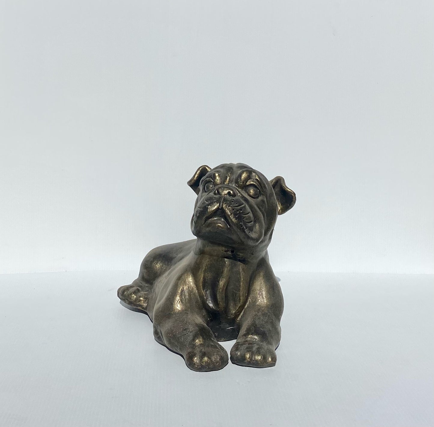 Bull Dog
