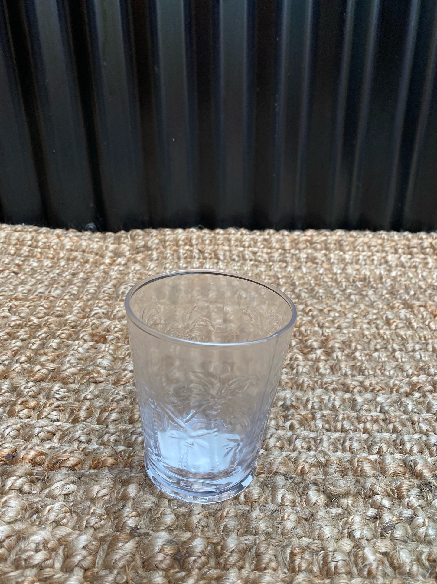 Tumbler Glass Palm Clear