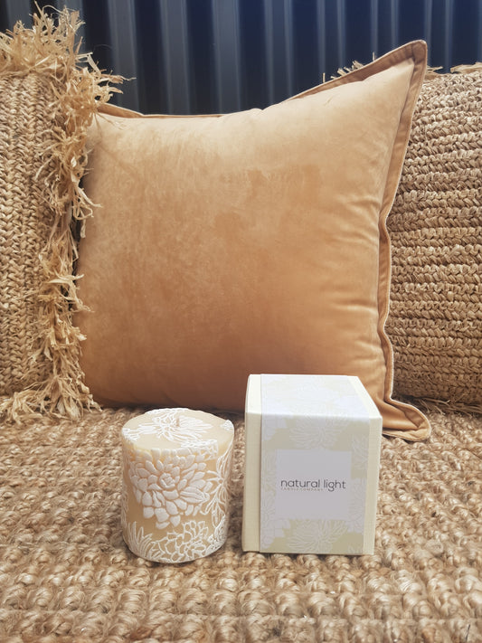 Japanese Chrysanthemum 3' Flat Ivory/White